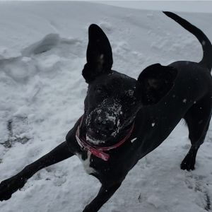 Meet your Posher, Becky